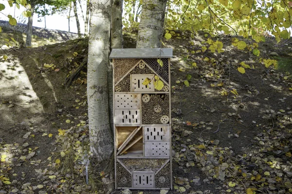 Vertical Shot Wooden Birdhouse Park — 图库照片