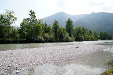 Nehir ve ormanlı güzel bir manzara.