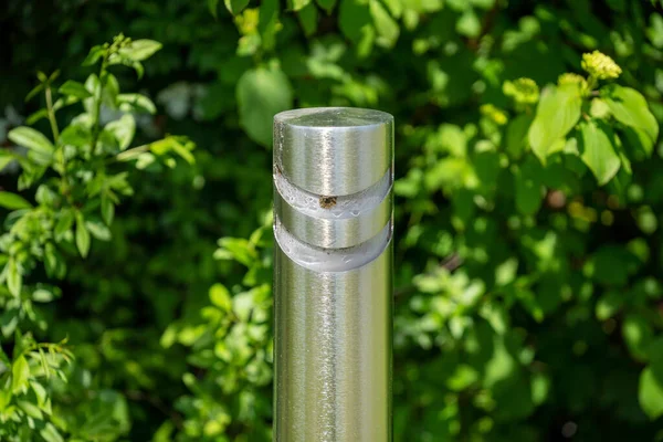 Parkta yeşil çimenler