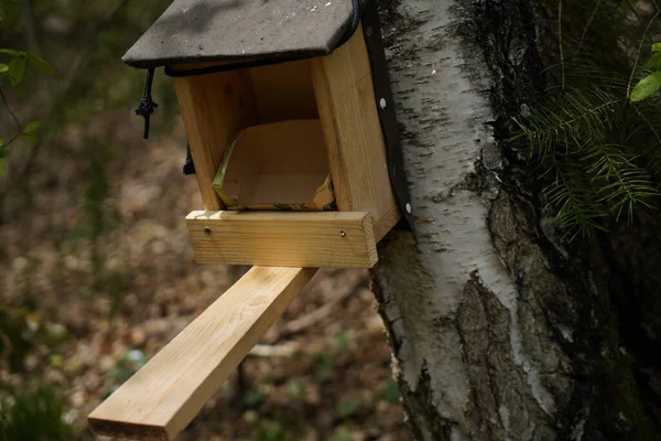 Vogelfutterhäuschen Park — Stockfoto