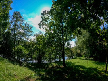 Ağaçları ve yeşil otları olan güzel bir manzara.