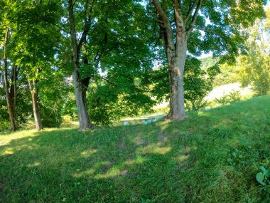 Parkın güzel manzarası