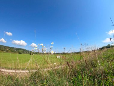 Çimen ve mavi gökyüzü olan güzel bir manzara.
