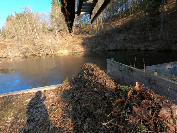 Ormanda küçük bir nehir.