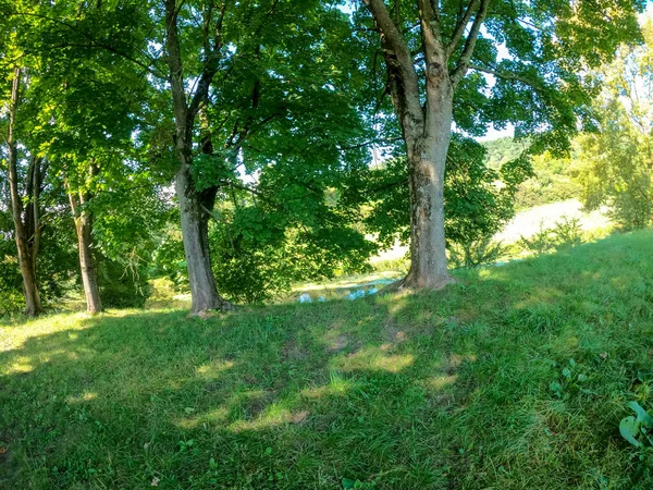 Parkın güzel manzarası