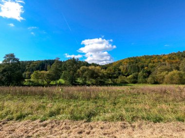 Güzel bir manzara Ağacı ve mavi gökyüzü