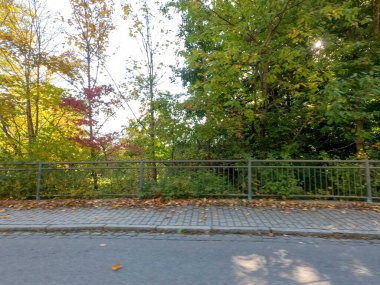Şehirdeki sonbahar parkı