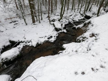 Karla kaplı ağaçları olan güzel bir manzara.