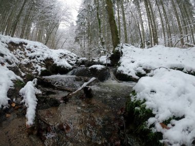 Karla kaplı ağaçlarla kaplı güzel kış manzarası