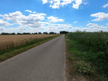 Kırsalda yol