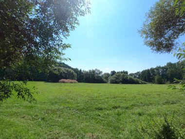 Güzel bir manzara Ağacı ve mavi gökyüzü