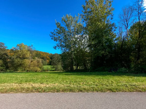 Büyük bir ağaç ve mavi gökyüzü olan güzel bir manzara.