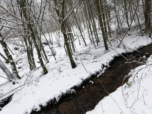 Beau Paysage Hivernal Avec Neige — Photo