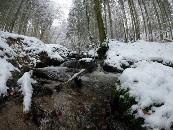 Karla kaplı ağaçlarla kaplı güzel kış manzarası