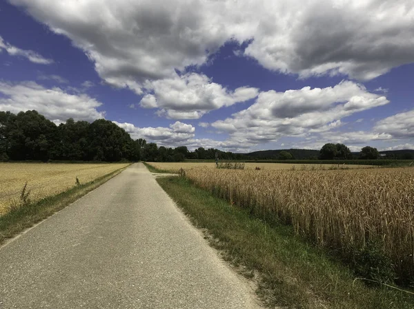 Kırsal kesimde kırsal yol