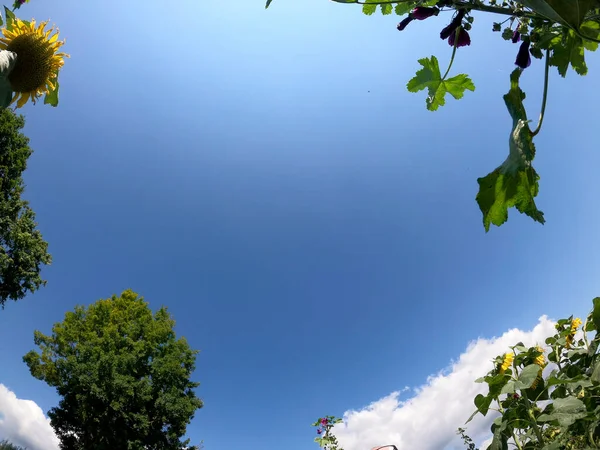 Parkın güzel manzarası