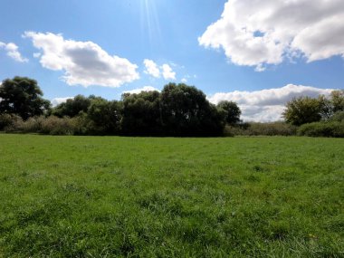 Yeşil çimlerle kaplı güzel bir manzara.