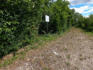 Ormandaki yol tabelası