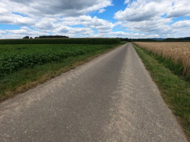 Kırsalda yol