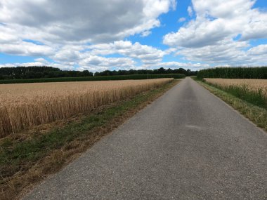 Kırsalda yol
