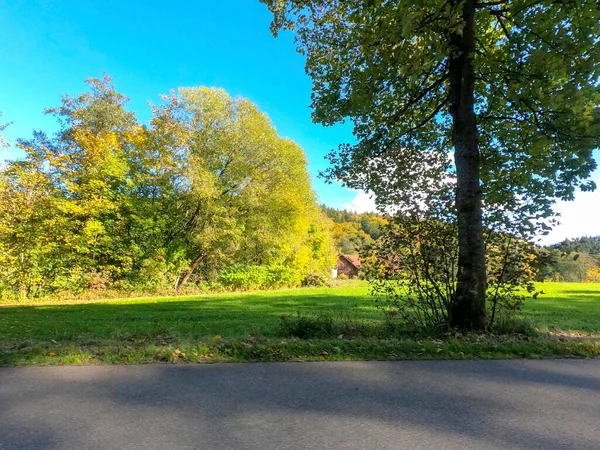 Schöne Landschaft Mit Einem Baum Und Einem Grünen Gras — Stockfoto
