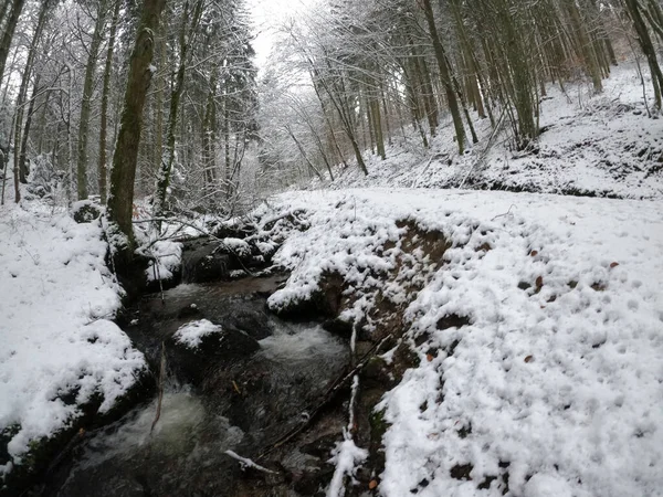 Beau Paysage Hivernal Avec Des Arbres Enneigés — Photo