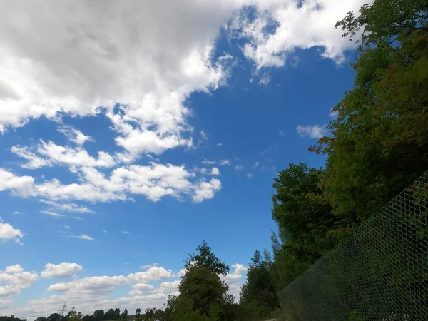 Vackert Landskap Med Träd Och Blå Himmel — Stockfoto