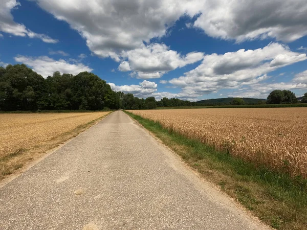 Kırsal kesimde kırsal yol