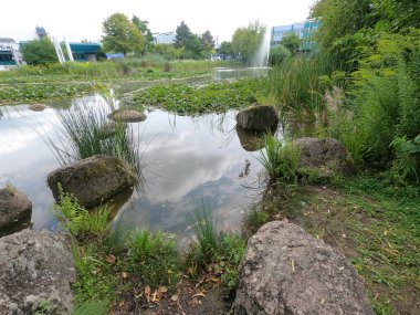 Parktaki nehrin güzel manzarası