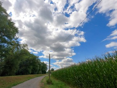 Yeşil doğada trafik olmayan köy yolu