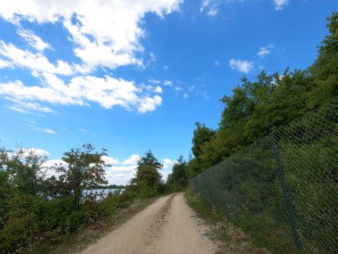 Yeşil doğada trafik olmayan köy yolu