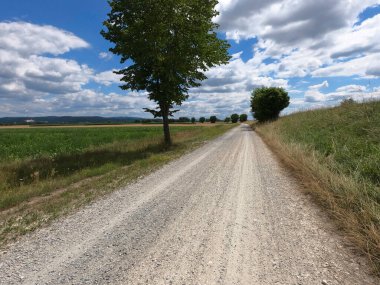 Country road in green nature without traffic