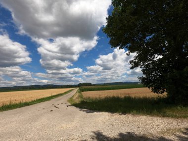 Yeşil doğada trafik olmayan köy yolu