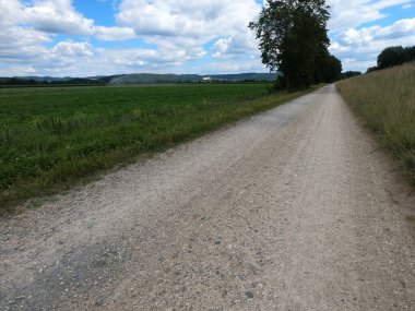 Country road in green nature without traffic