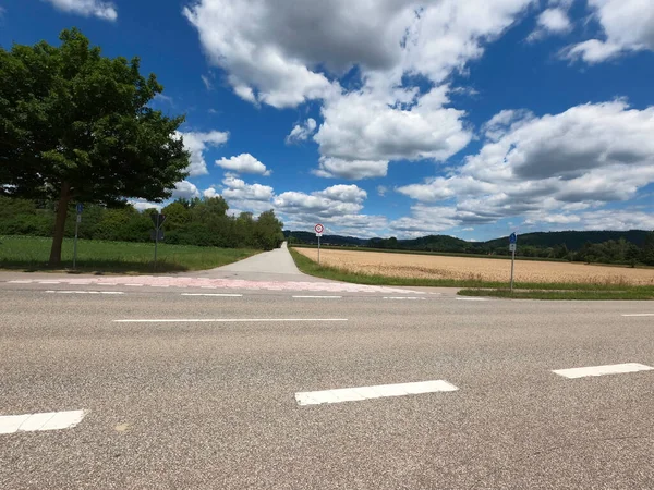 Yeşil doğada trafik olmayan köy yolu