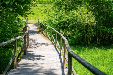 Parktaki tahta köprü.
