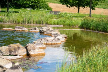 Güzel göl manzarası