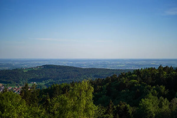 Aerial View Forest River Summer — Stock Photo, Image