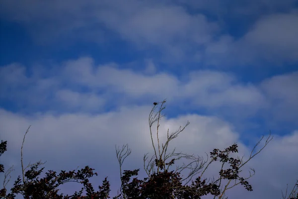 Hermosa Vista Del Cielo —  Fotos de Stock