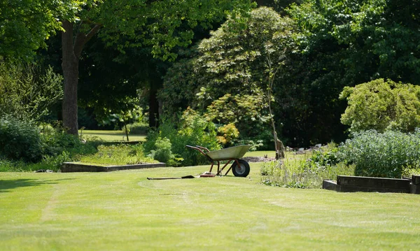 Lawn Mower Green Grass — Fotografia de Stock