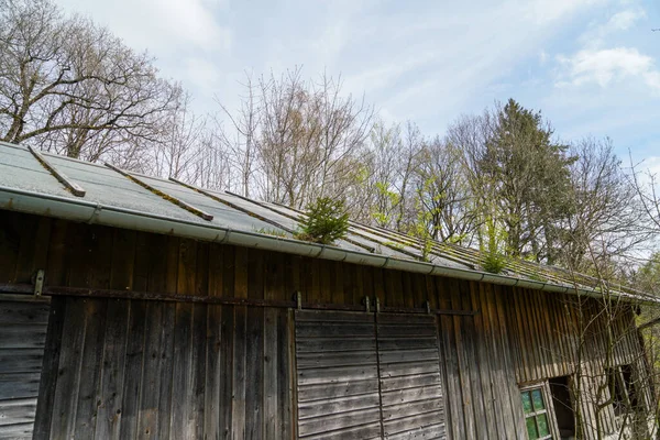 Vecchia Casa Legno Nel Bosco — Foto Stock