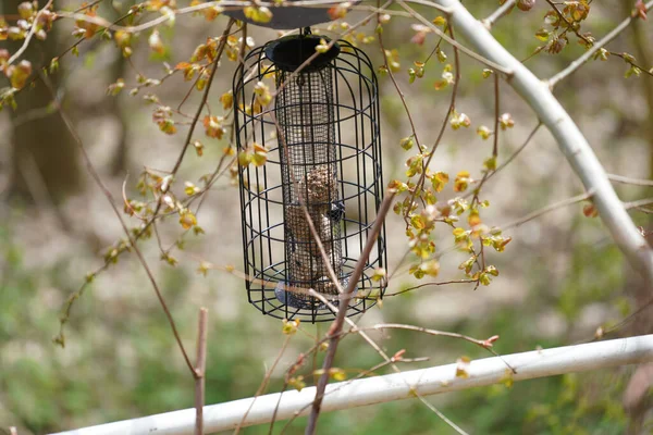 Bird Nest Wire Mesh Tree — Stok fotoğraf
