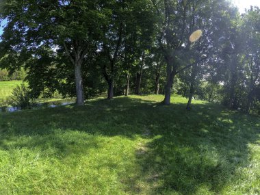 Parkta yeşil çimenler