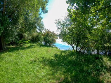 Ormanın güzel manzarası