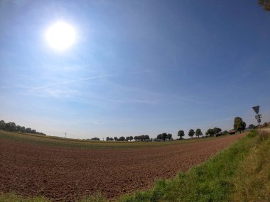 Ağaçlarla kaplı güzel bir manzara.