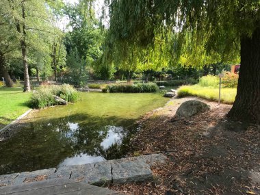 Parkta nehri olan güzel bir manzara.