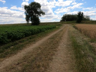 Bulutlu gökyüzü olan güzel bir arazi.