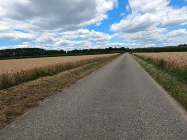 Kırsalda yol
