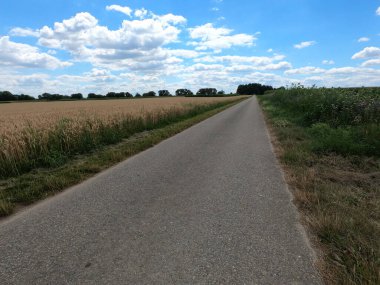 Kırsalda yol