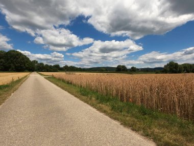 Kırsal kesimde kırsal yol